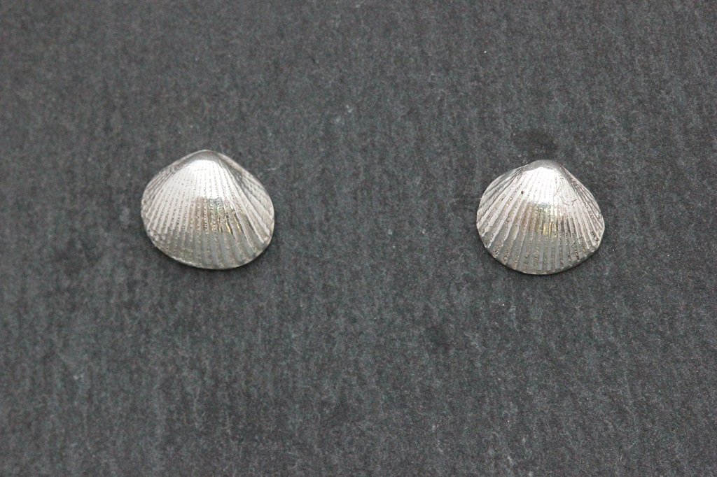 Seashell studs flat