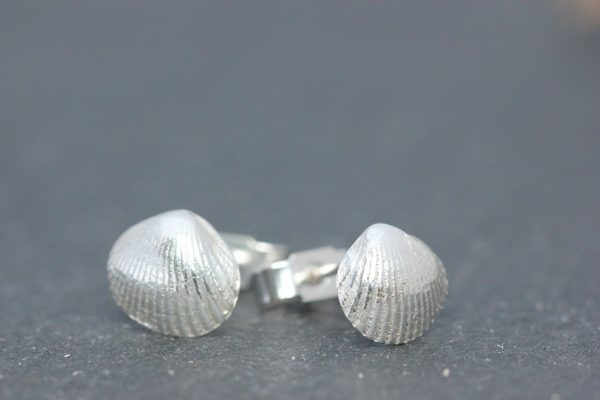 Cockle shell Stud Earrings